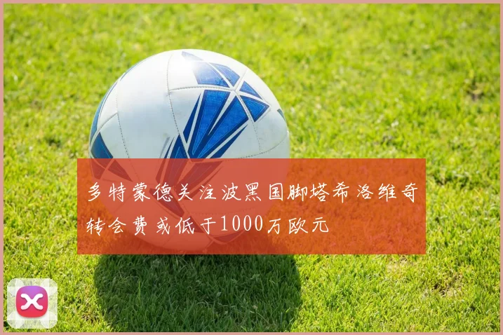 多特蒙德关注波黑国脚塔希洛维奇转会费或低于1000万欧元