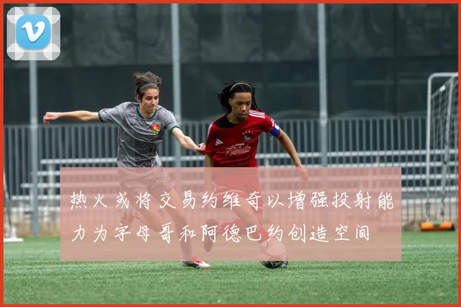 热火或将交易约维奇以增强投射能力为字母哥和阿德巴约创造空间